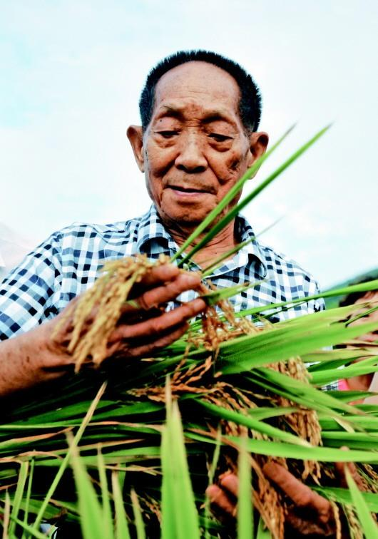 袁隆平院士：一稻濟(jì)世 萬(wàn)家糧足