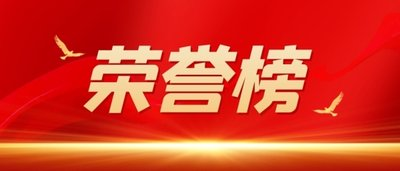 南岸區(qū)人大代表貢獻榜單發(fā)布  集團董事、總經(jīng)理黃怡霖上榜